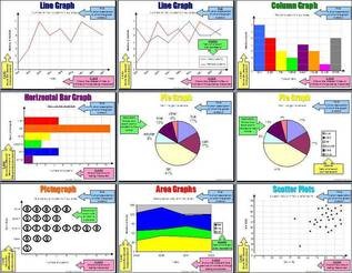 Collecting Organizing And Displaying Data Document How Is Organized
