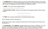 Corporation Operating Agreement Lofts At Cherokee Studios Document For Template