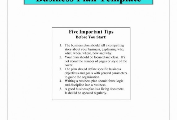 Ecommerce Business Plan Claphambusiness Document Templates