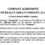 Effect Of An LLC Operating Company Agreements In Texas Document Limited Liability Agreement