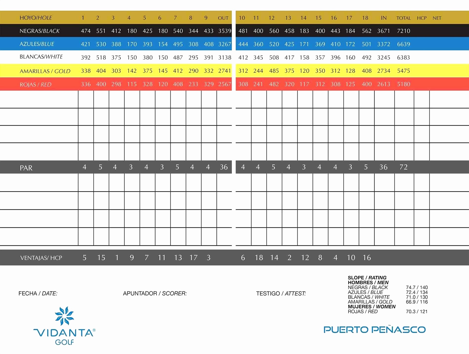 Example Of Golf Stat Tracker Spreadsheet Pianotreasure Document