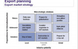 Export Planning How To Write An International Marketing Plan Ppt Document