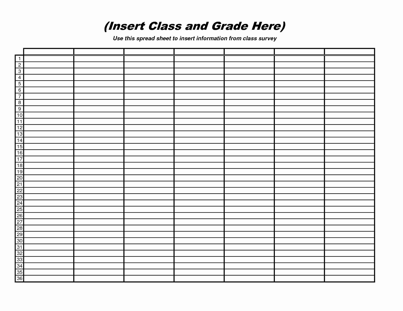 Image Result For Blank Spreadsheet Form Glam Vanity Baby Document