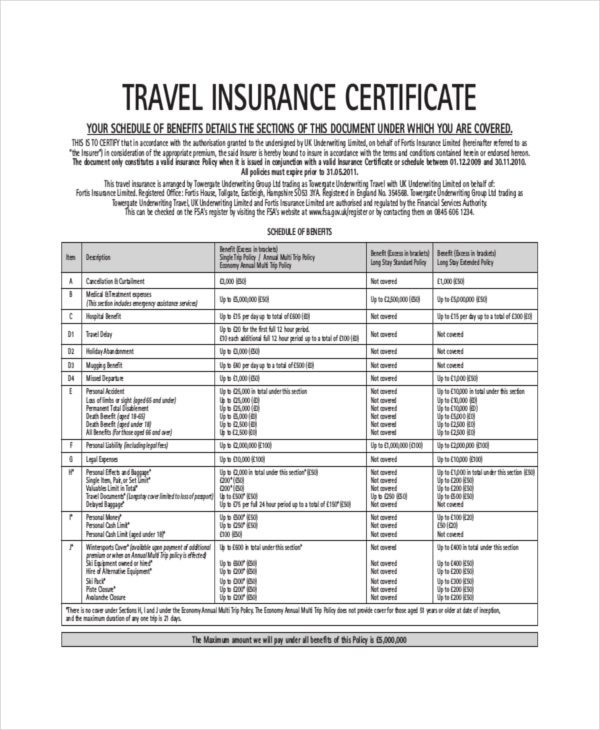 Insurance Certificate Template 10 Free Word PDF S