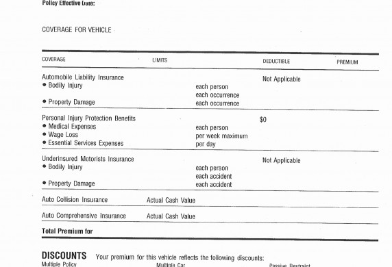 Insurance Declaration Page Example Fresh 50 New Homeowners Document Sample