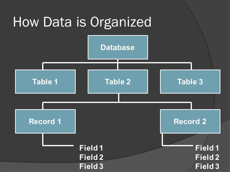 Introduction To Databases Overview What Is A Database Document How Data Organized