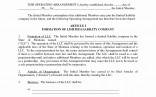 Llc Operating Agreement Doc Inspirational Document