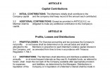 Llc Operating Agreement Texas Metierlink Com Document