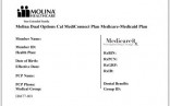 Member ID Card Sample Dentist That Take Molina Insurance Document Of