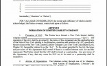 Ny Llc Operating Agreement Template Maryland Document