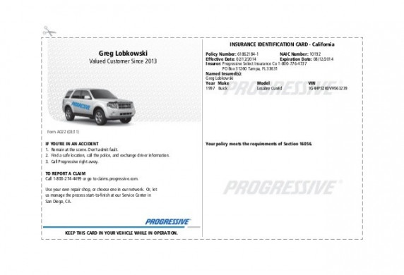 Pgr Insurance Idcard 1 Document Car Card Template Pdf