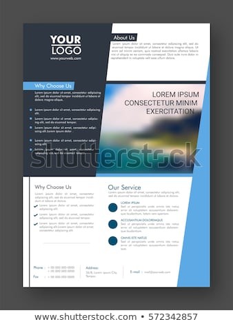 Professional One Page Business Flyer Banner Stock Vector Royalty Document Brochure