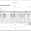 Sample Expense Report Excel Tier Crewpulse Co Document Cash Template