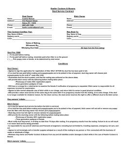 Sample Stud Contract Document Service Template