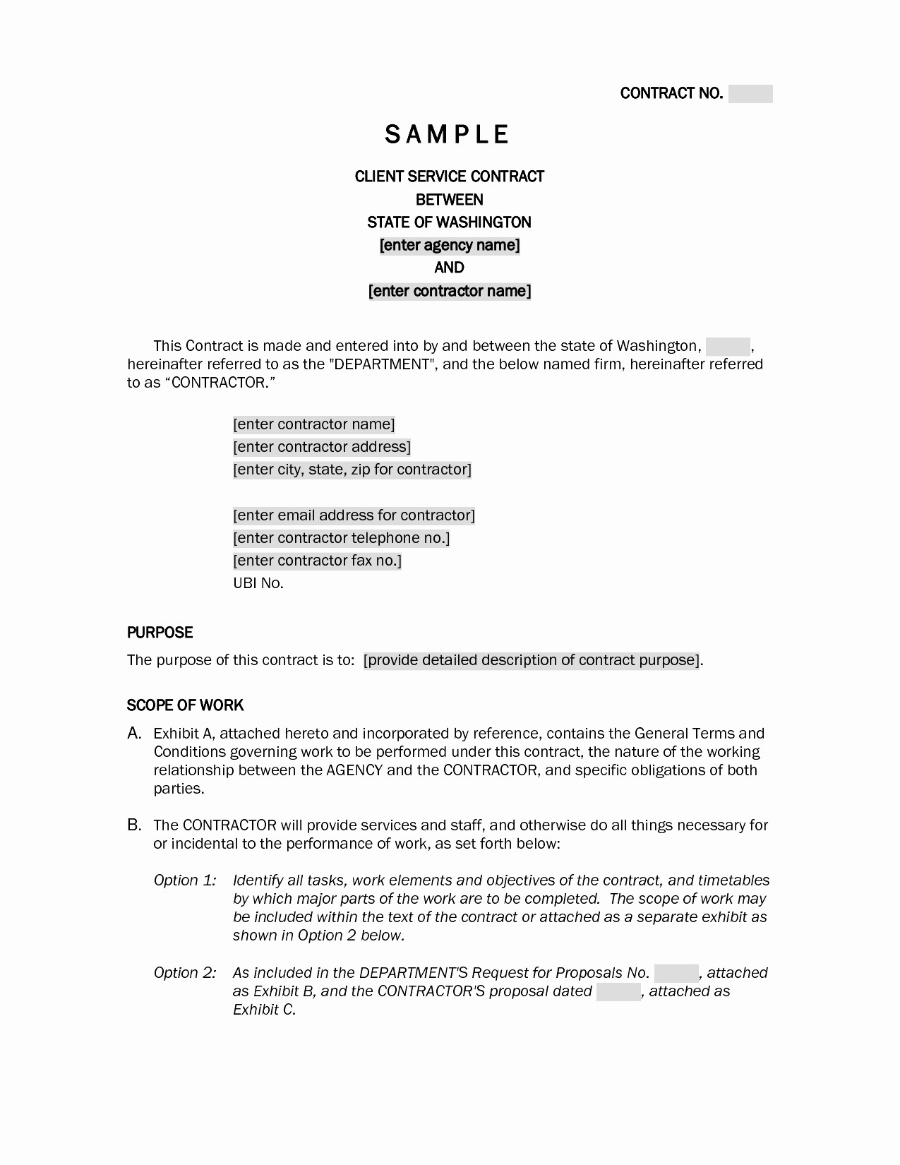 Simple Web Hosting Agreement Unique Document