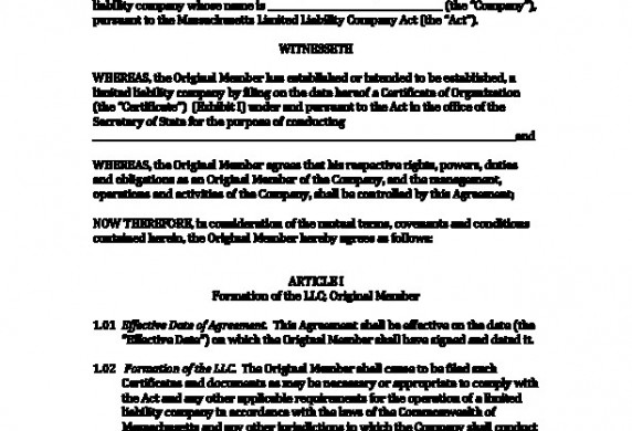 Single Member Llc Operating Agreement Gtld World Congress Document Articles Of Organization Template