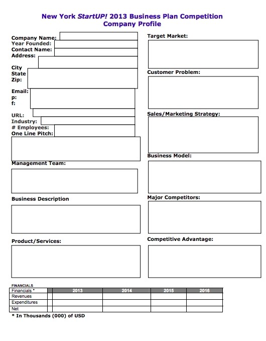 Startup Business Plan Template Document For