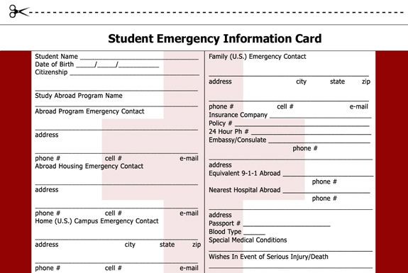 Student Emergency Information Card Travel Tips Pinterest Document Info Template