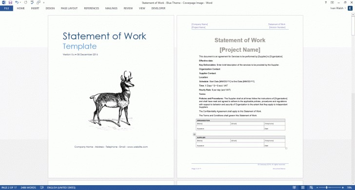 Template Statement Of Work Document Video Production