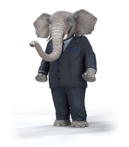 Tennessee Auto Insurance Quote Save On TN Car Document Elephant Number
