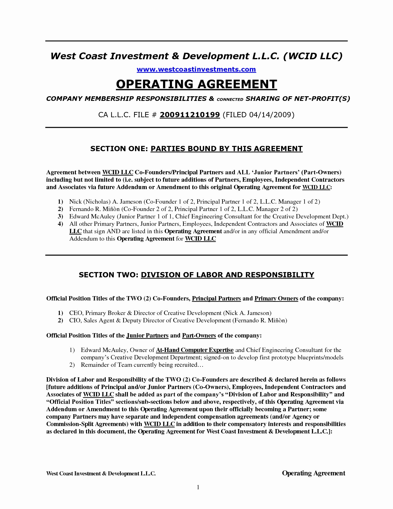 Texas Llc Operating Agreement Form Inspirational Document