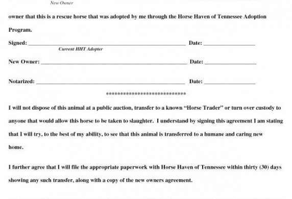 Transfer Of Ownership Contract Template Thalmusco 97867618008 Document Business
