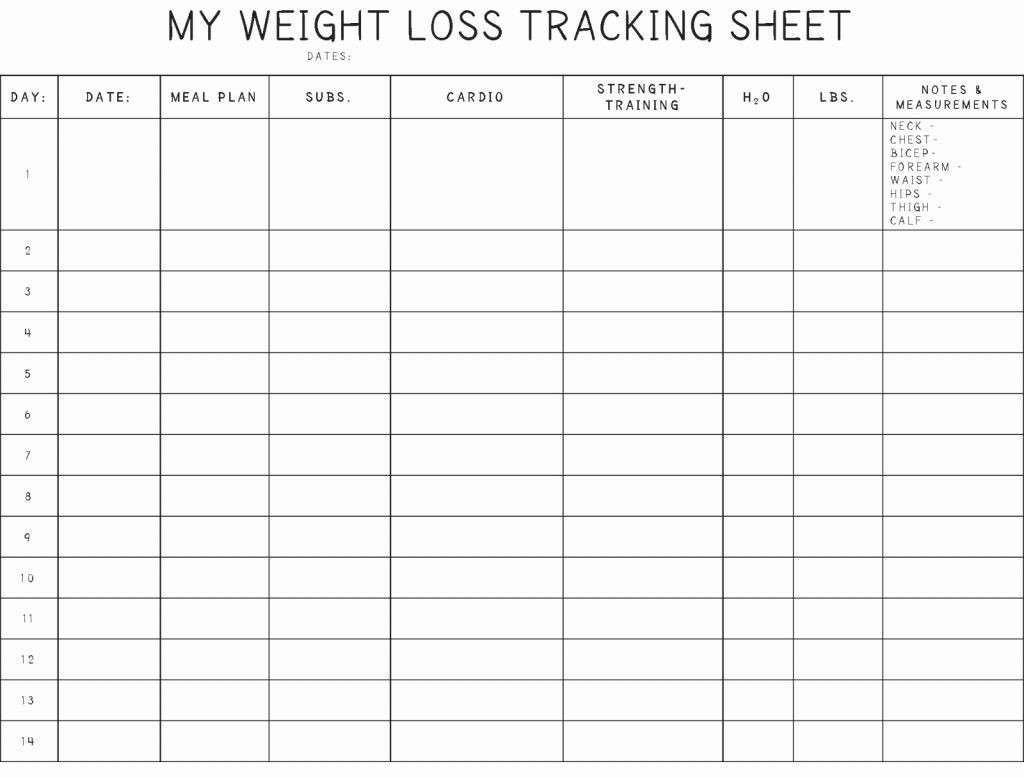 Weight Loss Spreadsheet Google Docs Luxury Tracker Sheet Etame Document