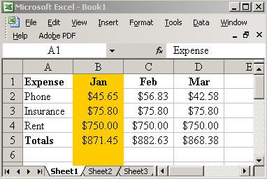 What Are Spreadsheets Document Does A Spread Sheet Look Like